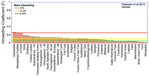 Niveau de consanguinité pour les chevaux