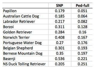 Différences entre consanguinité généalogique et consanguinité génétique du chien de race