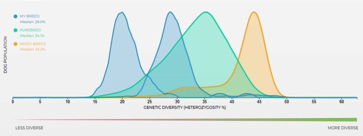 Diversité génétique