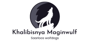 Logo de l'élevage Khalibisnya Maginwulf