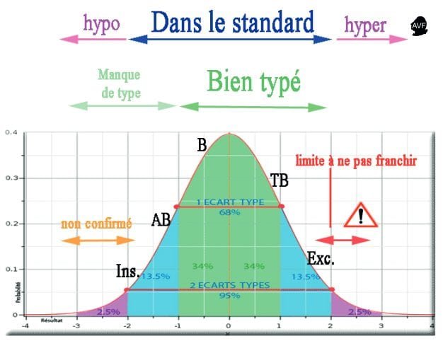 Les hypertypes dans le chien de race