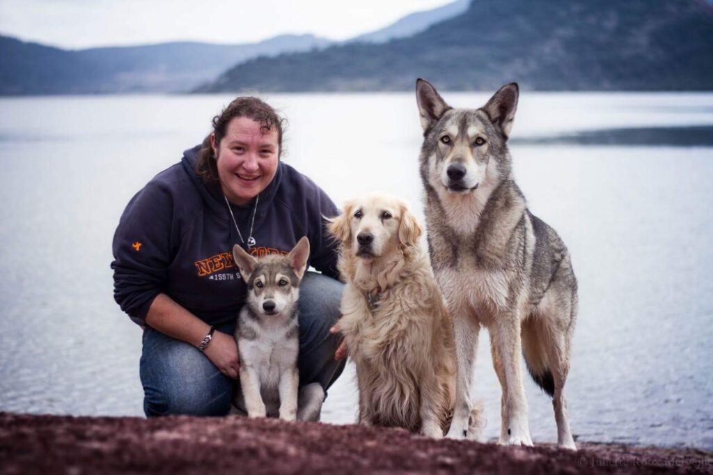 chiens-loups de Saarloos Khalibisnya Maginwulf