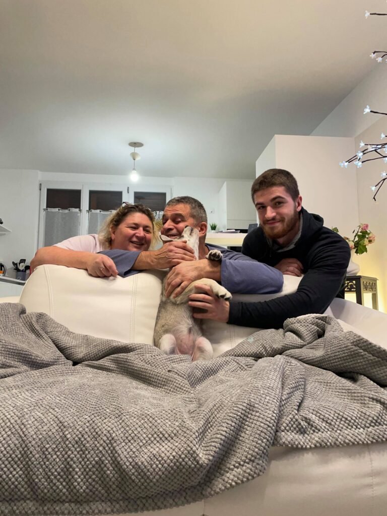 chiens-loups de Saarloos Khalibisnya Maginwulf