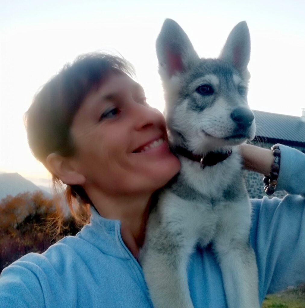 chiens-loups de Saarloos Khalibisnya Maginwulf