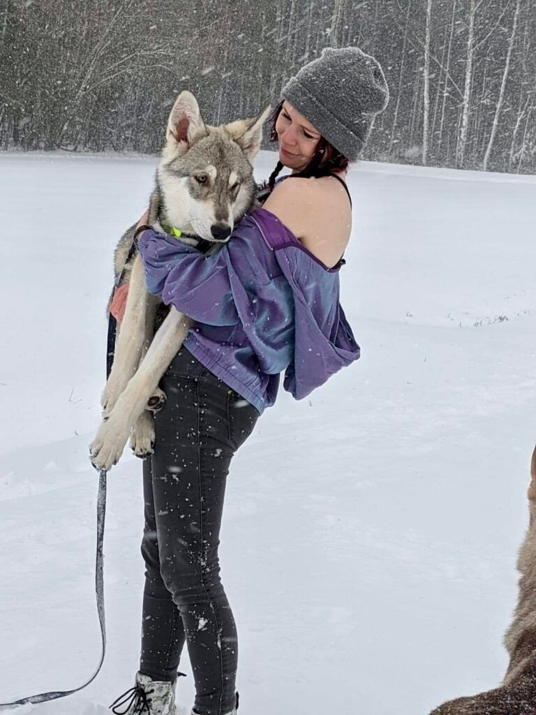 chiens-loups de Saarloos Khalibisnya Maginwulf