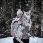 chiens-loups de Saarloos Khalibisnya Maginwulf