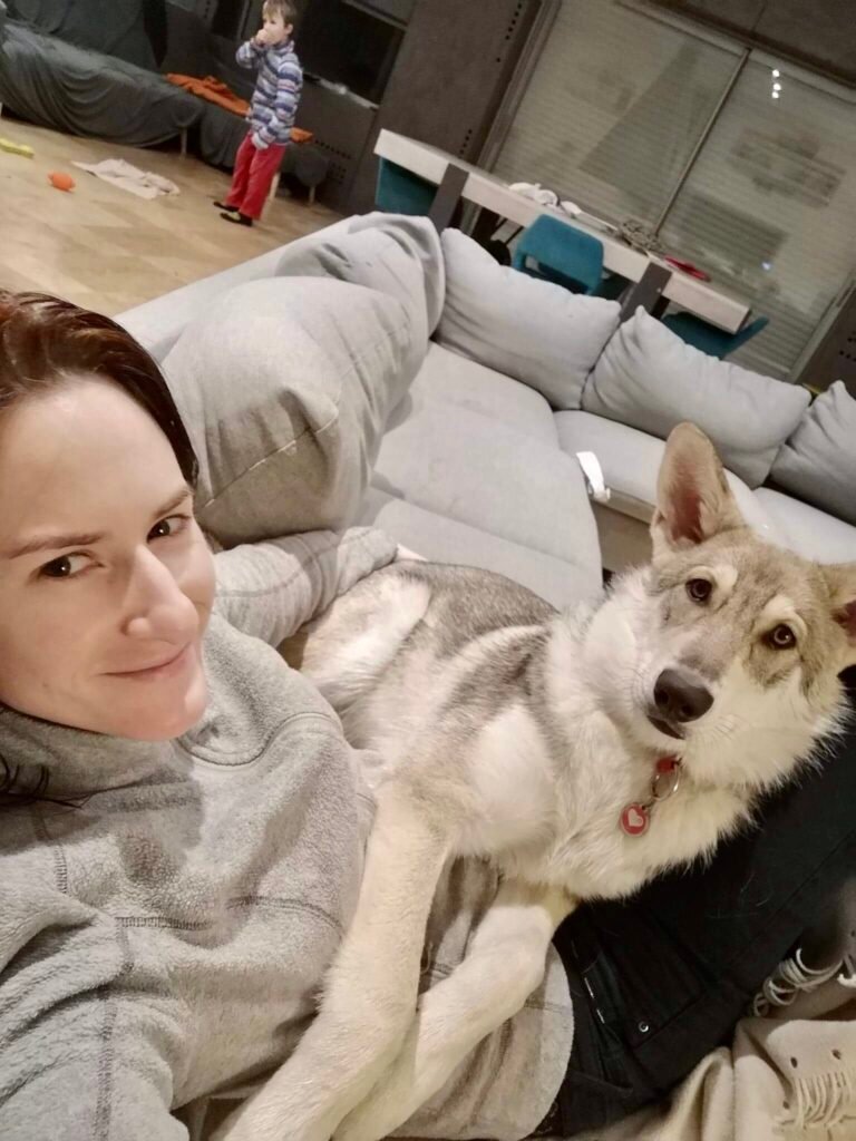 chiens-loups de Saarloos Khalibisnya Maginwulf