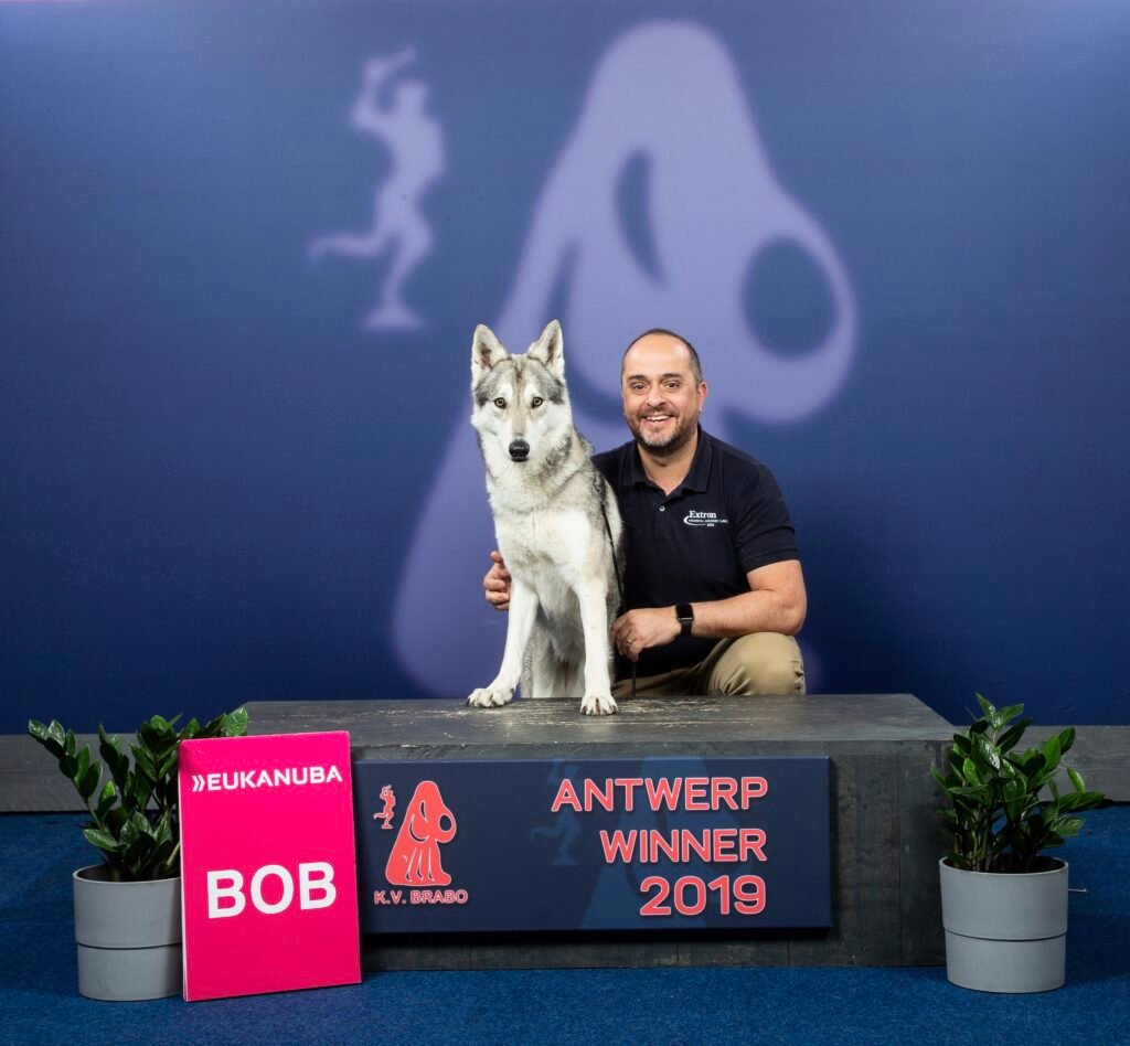 Khalibisnya Maginwulf Millesys sur le podium Best Of Breed d'Anvers 2019