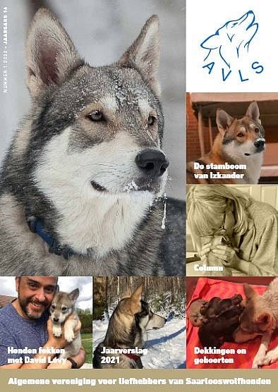 Khalibisnya Maginwulf est publié dans le magazine de l'AVLS