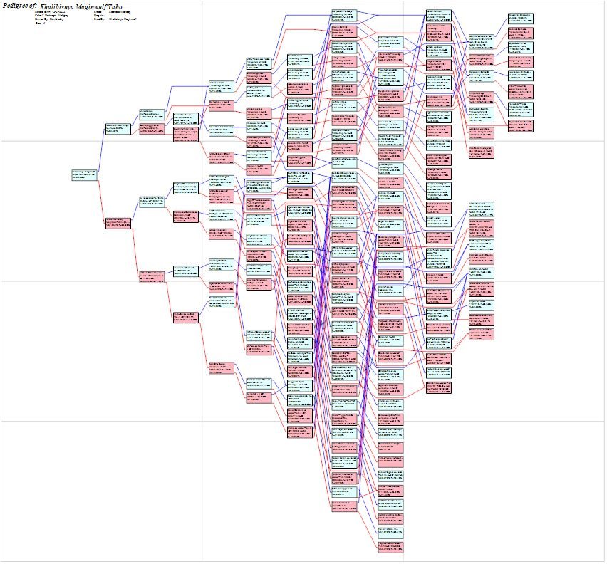 Qu'est-ce qu'un PedChart ?