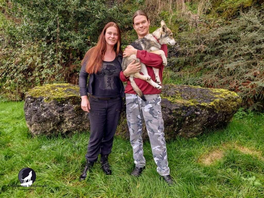 chiens-loups de Saarloos Khalibisnya Maginwulf