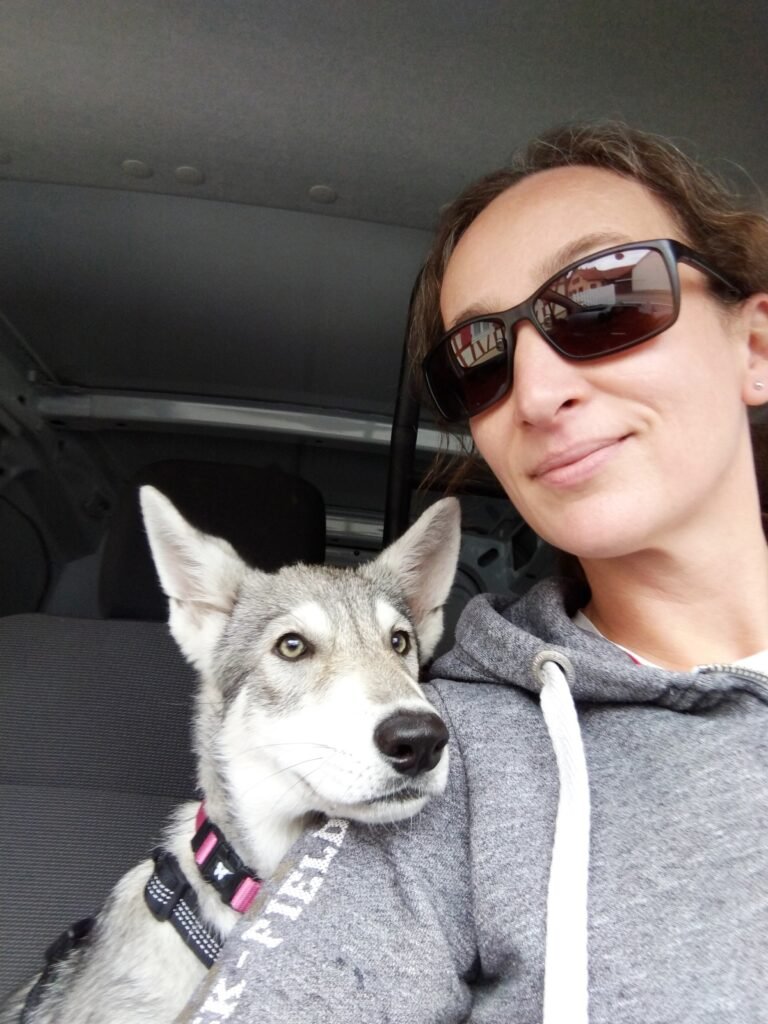 chien-loup de saarloos et sa maîtresse en voiture