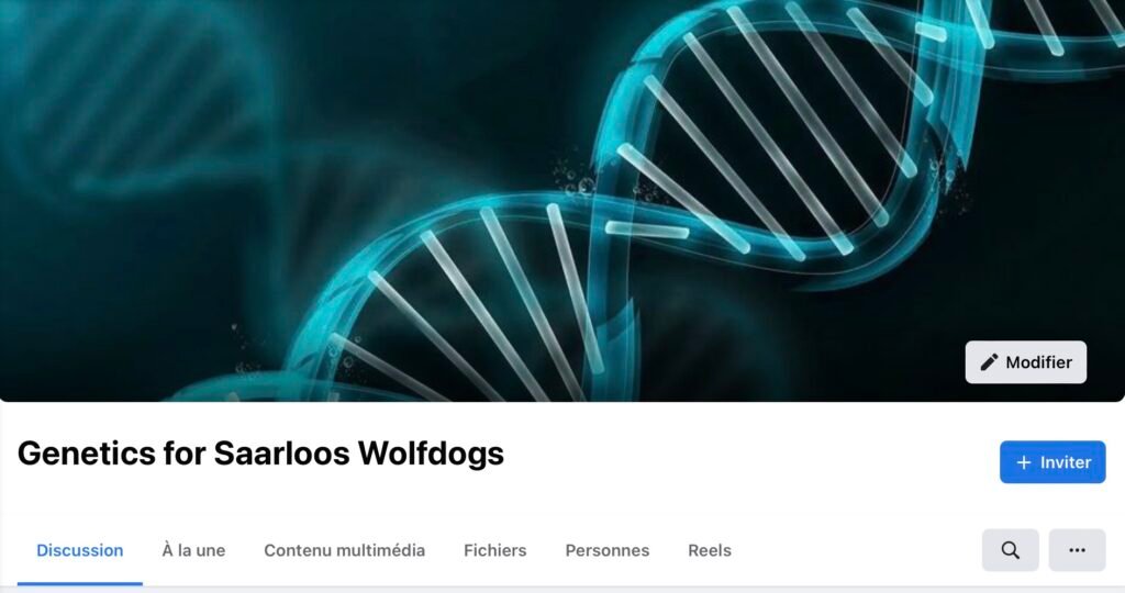 Groupe Facebook dédié à la génétique pour le chien-loup de Saarloos