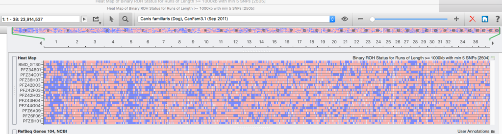 ROH - Runs of Homozygosity graph