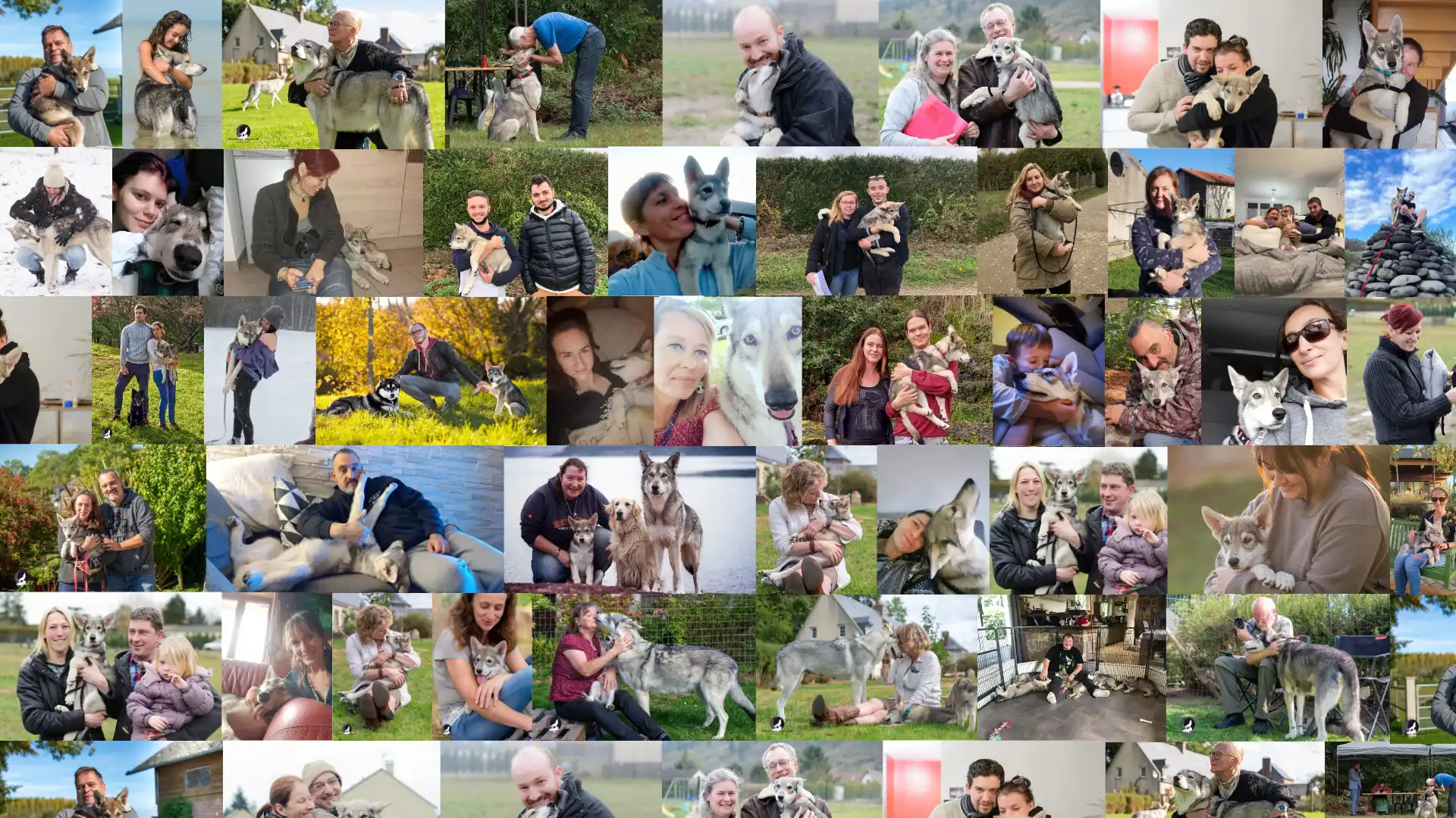 Montage photos des adoptants de l’élevage Khalibisnya Maginwulf