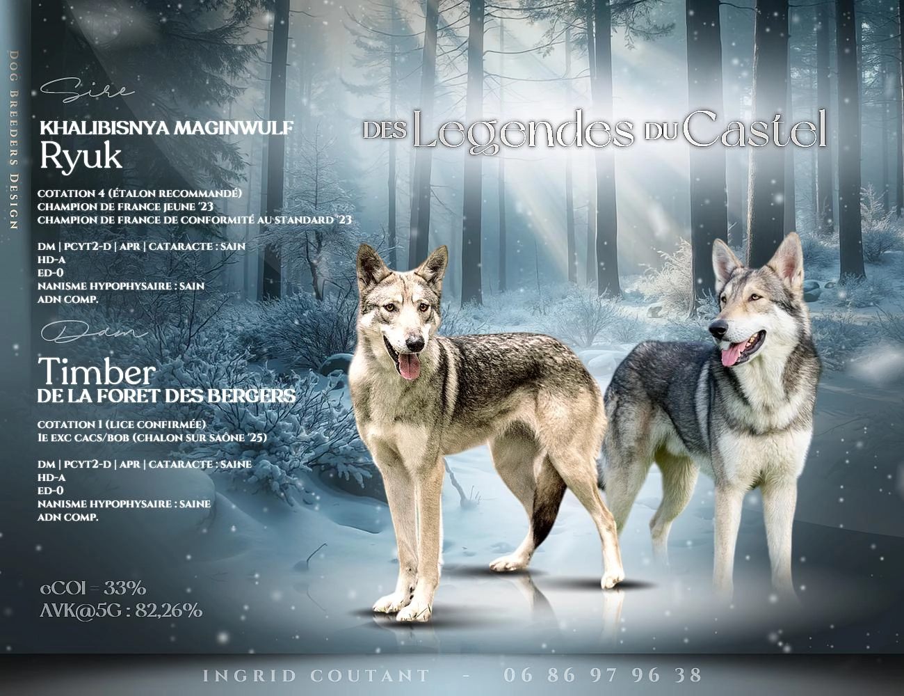 Portée 2026 – Saillie avec Khalibisnya Maginwulf Ryuk (Elevage des Légendes du Castel)